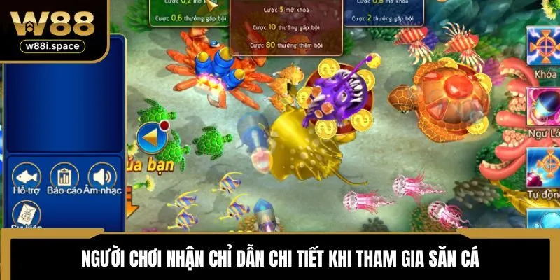 Người chơi nhận chỉ dẫn chi tiết khi tham gia săn cá