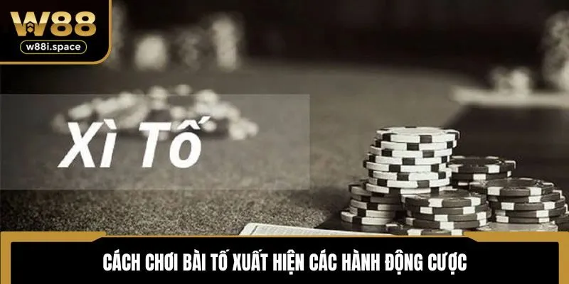 Cách Chơi Bài Tố - Quy Tắc Tính Điểm, Mẹo Hay Nhất Với W88 3 Cách chơi bài Tố xuất hiện các hành động cược