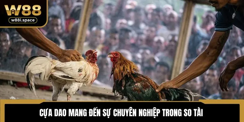 Cựa dao mang đến sự chuyên nghiệp trong so tài 