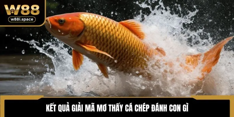 Giải Mã Mơ Thấy Cá Chép Đánh Con Gì Cơ Hội Thắng Cao Tại W88 4 Kết quả giải mã mơ thấy cá chép đánh con gì