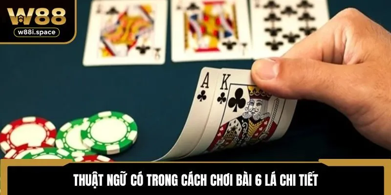 Thuật ngữ có trong cách chơi bài 6 lá chi tiết