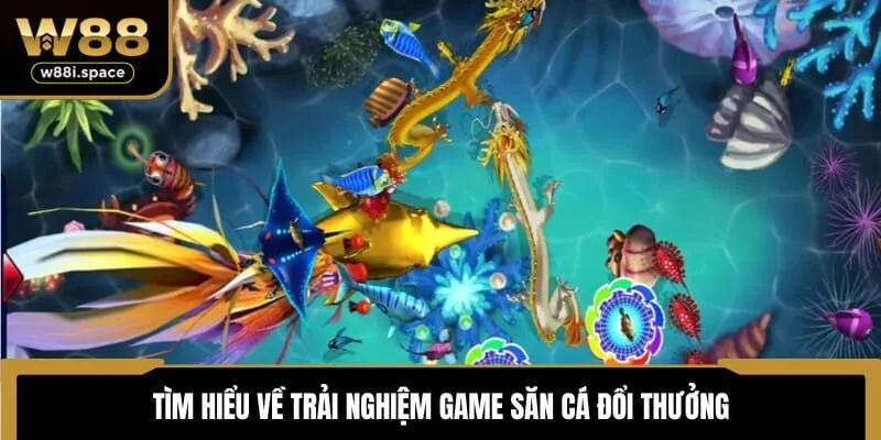 Bắn Cá Ăn Xu Tại W88 - Sân Chơi Đổi Thưởng Đáng Thử Nhất 2 Tìm hiểu về trải nghiệm game săn cá đổi thưởng