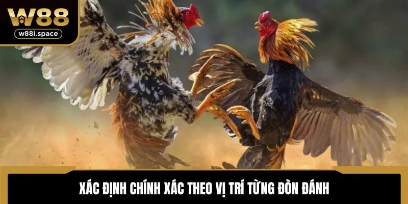 Xác định chính xác theo vị trí từng đòn đánh