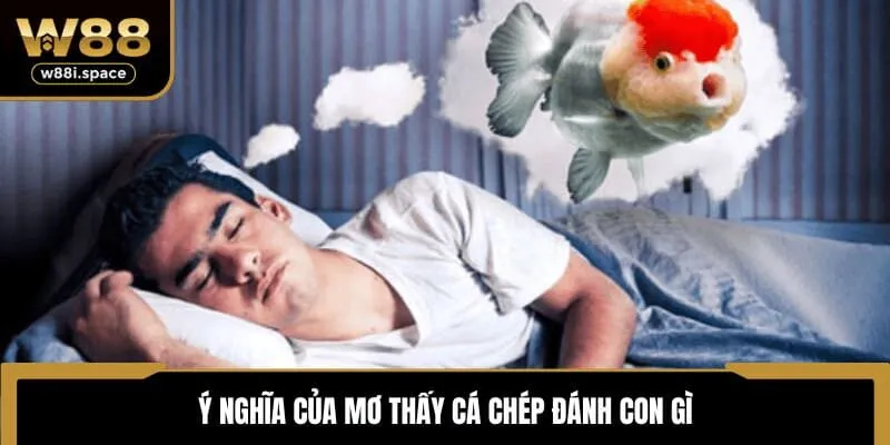 Giải Mã Mơ Thấy Cá Chép Đánh Con Gì Cơ Hội Thắng Cao Tại W88 2 Ý nghĩa của mơ thấy cá chép đánh con gì